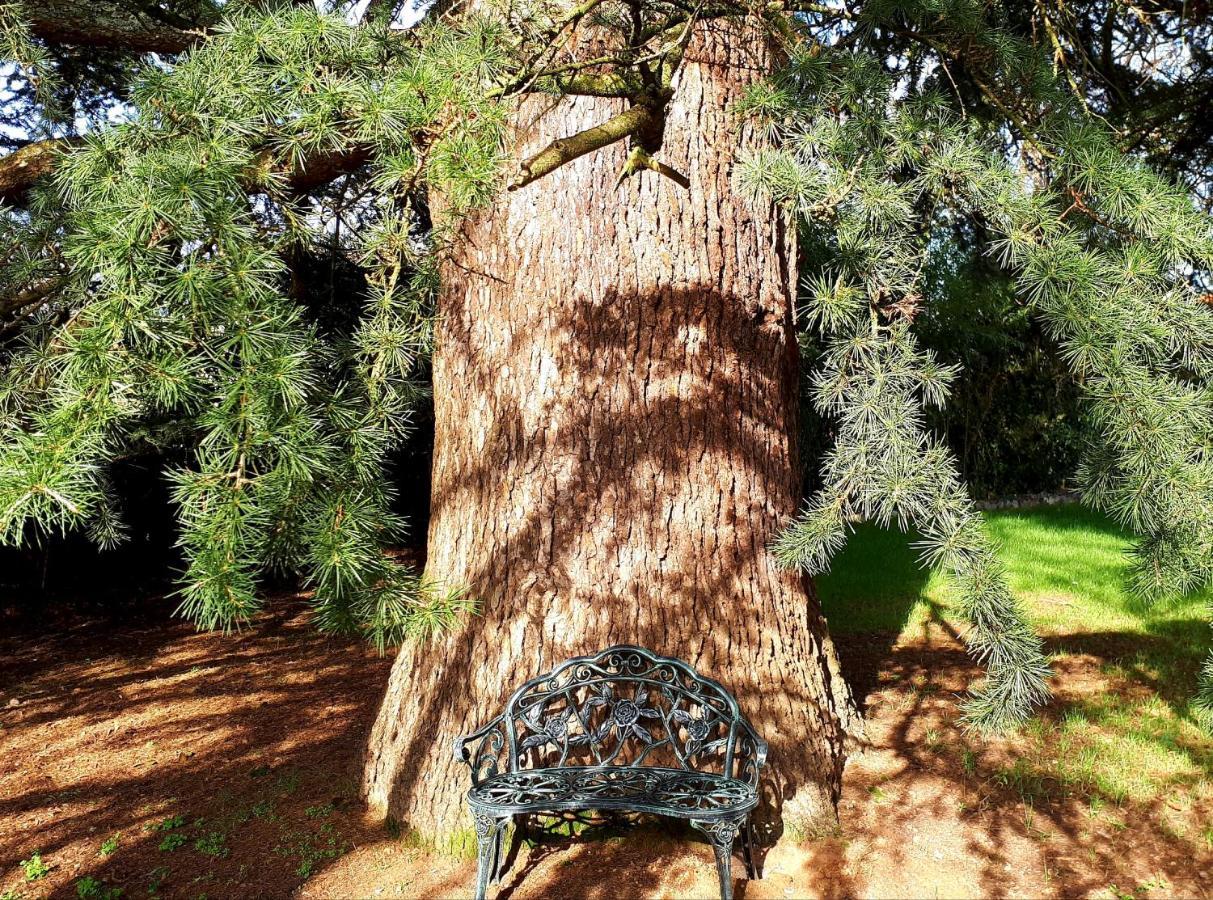 Domaine De Garat Acomodação com café da manhã Floirac  Exterior foto