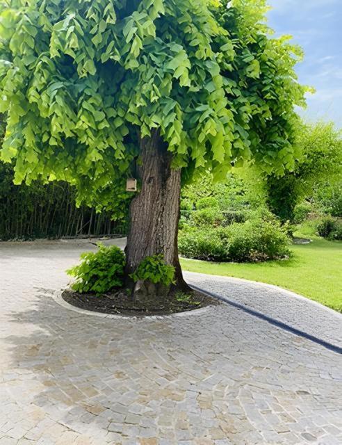 Domaine De Garat Acomodação com café da manhã Floirac  Exterior foto